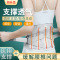 护腰带腰间盘劳损腰椎盘突出男女士腰疼腰围腰托透气四季护腰薄款
