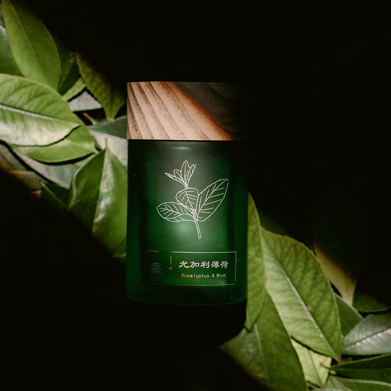 美通 (Aroma Light)G07-L1006療系列无火香薰 家用卧室房间留香植物摆件香氛散香器 尤加利薄荷草生姜
