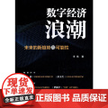 数字经济浪潮——未来的新趋势与可能趋
