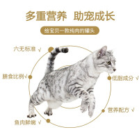 麦富迪猫罐头 猫粮猫湿粮肉粒包 鱼肉水煮高肉大罐头170g 混合味170g*24罐