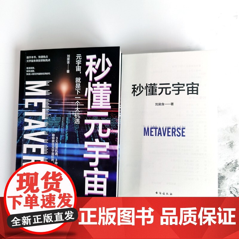 秒懂元宇宙 刘奕含 著 经济高清大图