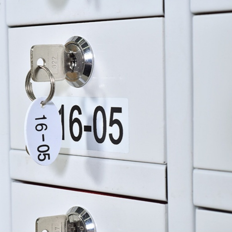 乐琪艺 手机屏蔽柜 十格 台高清大图