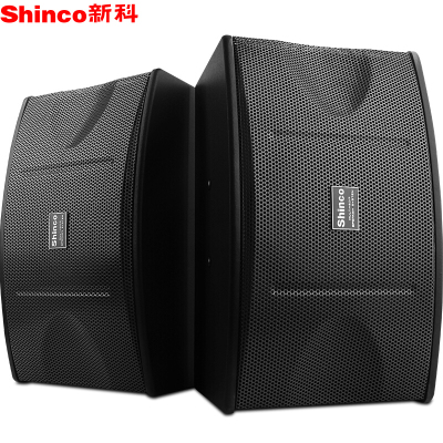 新科(Shinco) DK-450A 家庭影院KTV音响 家用会议舞台音箱低音炮卡包音响 10英寸 一对KTV卡包音响