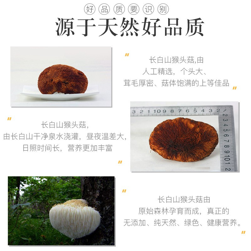 品吉味 葵花盘固体饮料80g 降痛风尿酸独立小包装便携带葵花粉茶
