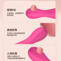 探芯3