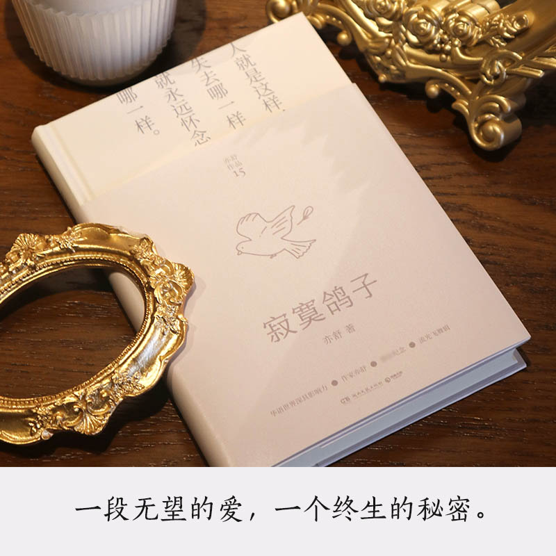 [正版]寂寞鸽子(2022)/亦舒 亦舒 著 外国诗歌文学 书店图书籍 湖南文艺出版社高清大图
