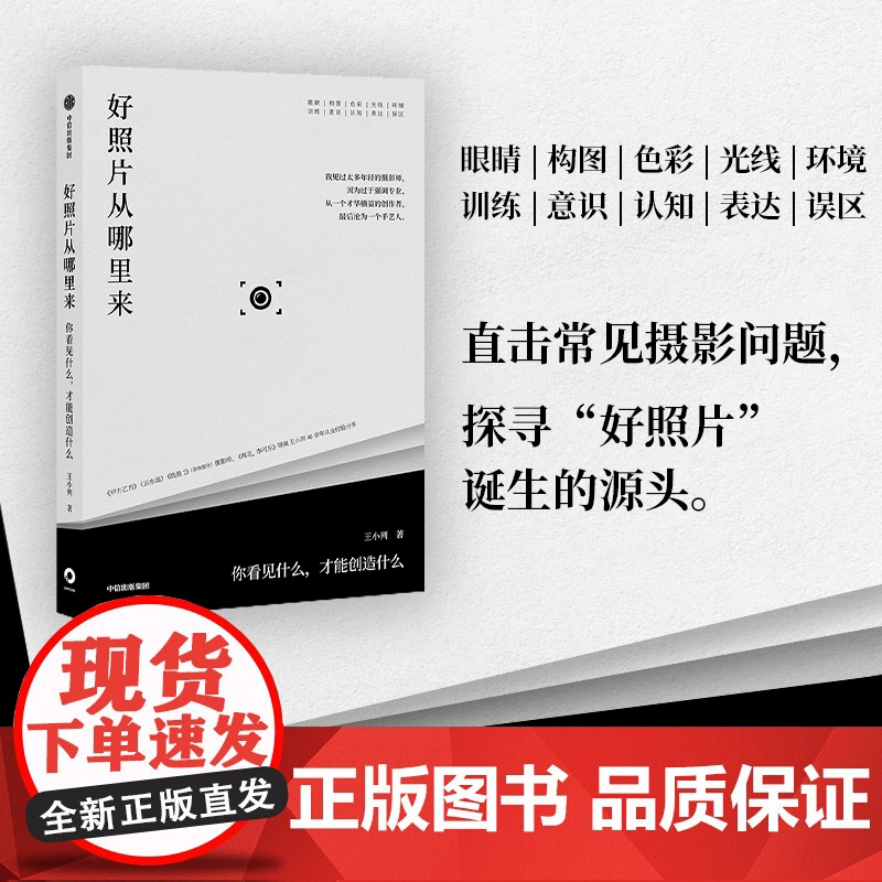 好照片从哪里来 你看见什么 才能创造什么 王小列著 甲方乙方云水谣战狼2摄影师王小列 40余年从业经验分享 中信出版社图高清大图