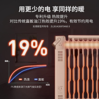 先锋(SINGFUN) 取暖器油汀家用智能遥控定时15片第三代热浪型电暖器电暖气片电暖炉 DYT-SS6R