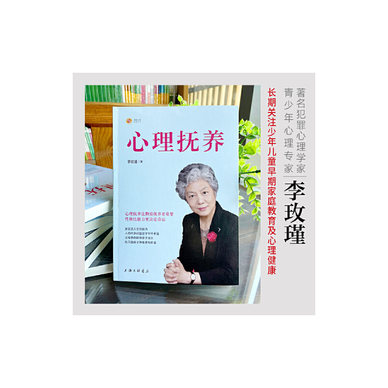 心理教育家庭教育管教孩子育儿儿童心理学 心里的抚养李玫瑾育儿书籍