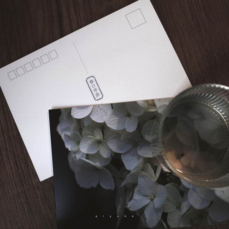 [正版]春日序曲 摄影师@栖聿摄影作品艺术摄影春日春天风光风景明信片 青春文艺小清新礼品装饰贺卡文创产品 浙江人民美术高清大图