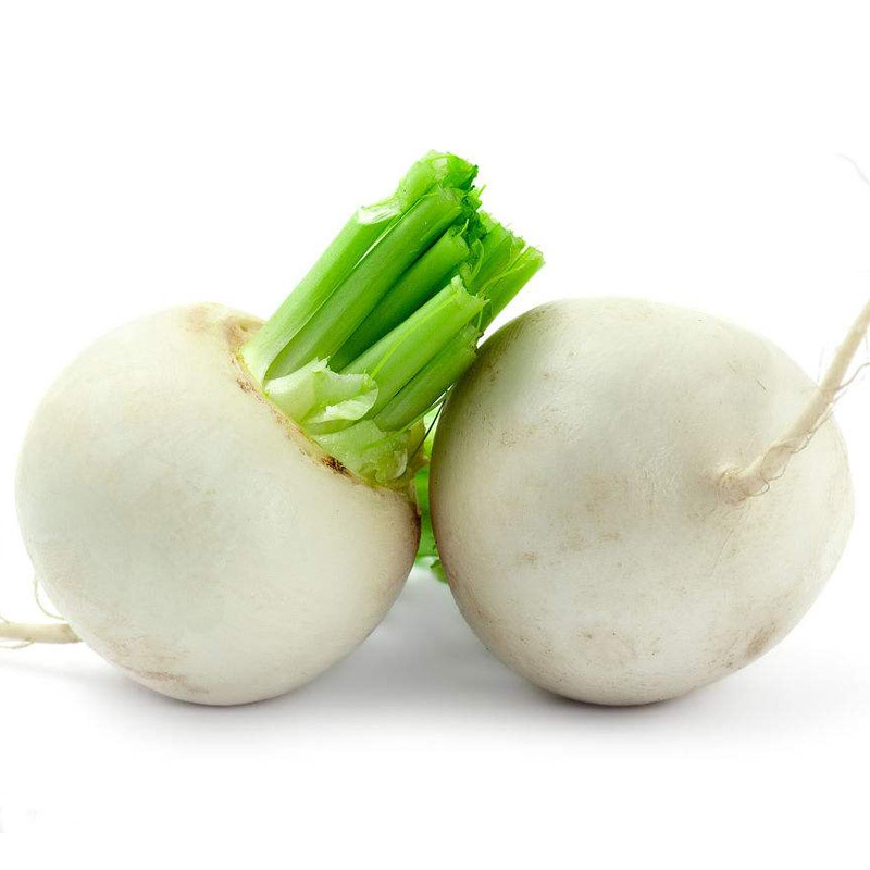 白樱桃小萝卜种子春季秋季冬季四季盆栽阳台大田脆甜水果萝卜种籽