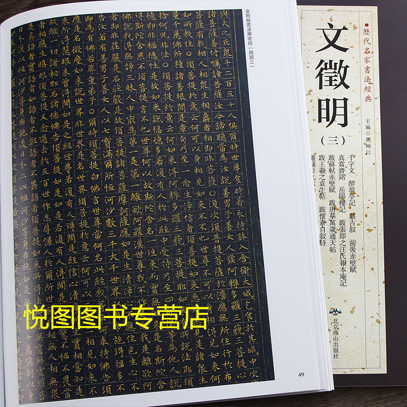 醉翁亭记前后赤壁赋岳阳楼记文徵明离骚经九歌卷南山十咏千字文>800