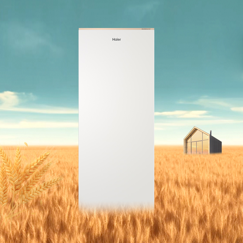 海尔(Haier)180升立式冷柜冰柜小冰箱 HCF鲜冻保鲜科技 99.9%黑金净化抗菌BD-180WGHD6GL高清大图