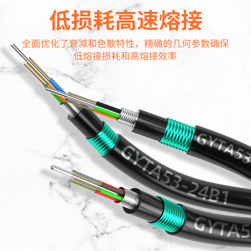 千天(QANTOP)QT-GL1029室外铠装光缆GYTA53单模光缆36芯100米 电信级地埋架空重铠层绞式光纤线网线
