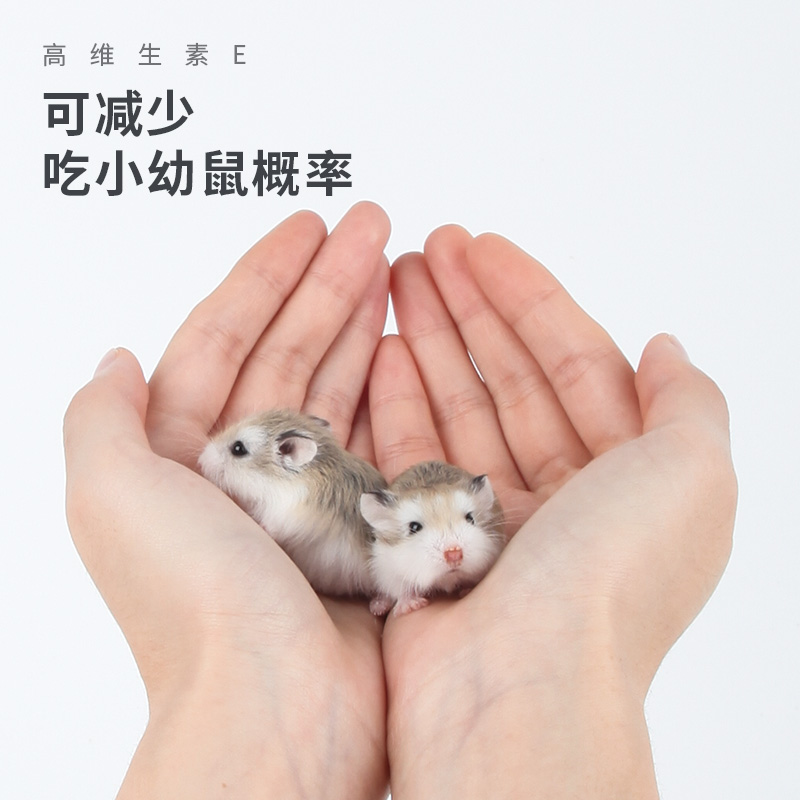 宠物零食小麦胚芽仓鼠兔子龙猫荷兰猪粮食饲料用品高清大图