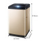 海信(Hisense)波轮洗衣机全自动家用10大程序桶清洁低噪音防缠绕 HB80DA332G