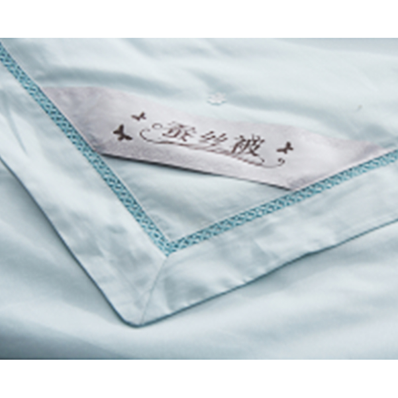 紫韵 ZY-B1068 姑苏丝绣蚕丝被(T)