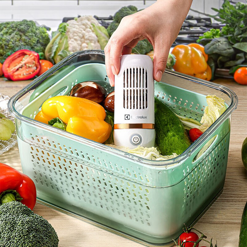 伊莱克斯果蔬净化器 15W EGVC-6110高清大图