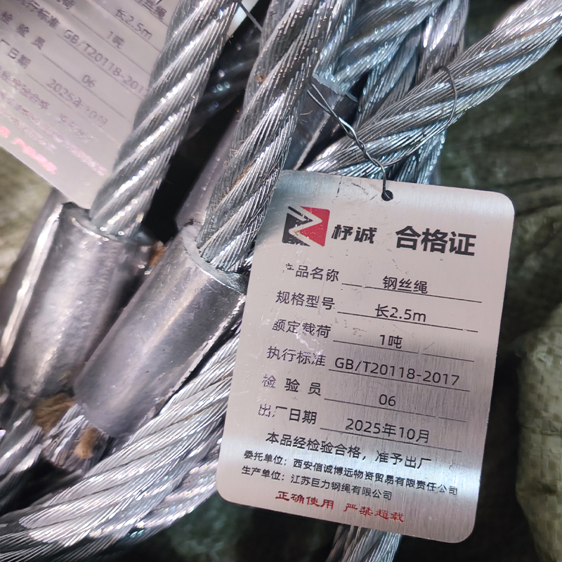 杼诚钢丝绳长2.5m/根高清大图