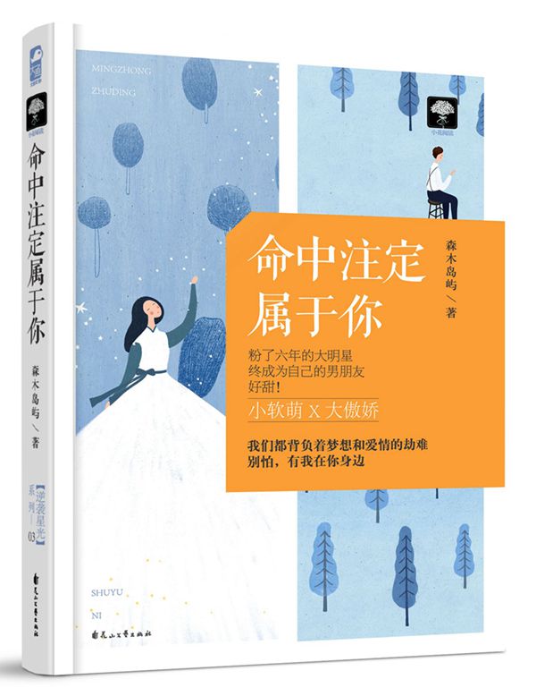 [正版] 命中注定属于你 森木岛屿 爱情小说书籍 大鱼文化小花阅读系列现代甜宠文小说言情小书 青春文学成功励志书籍女高清大图