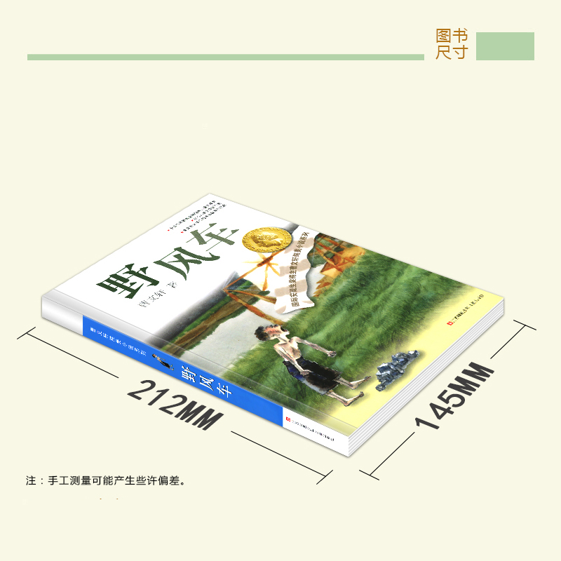 [正版]野风车全套曹 纯美小说系列 初中小学生课外阅读 书籍三四五六年级经典书目江苏凤凰少年儿童出版社安徒生儿童文学高清大图