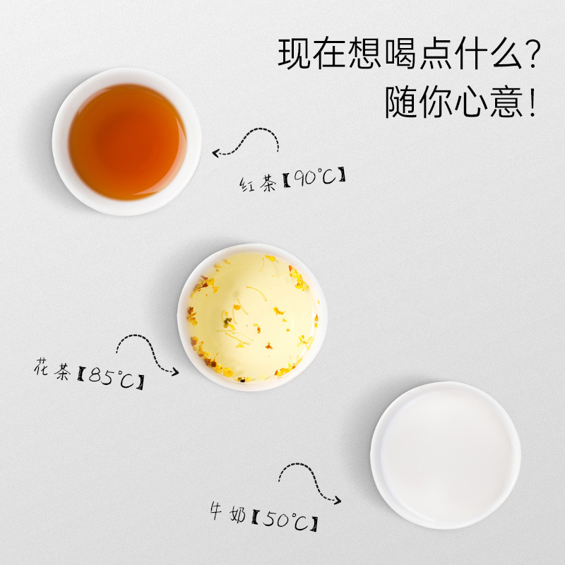 澳柯玛上水壶ADK-1350J11