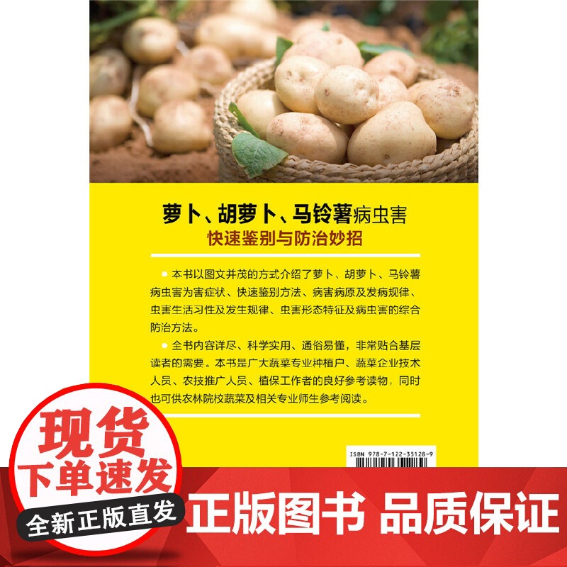 萝卜、胡萝卜、马铃薯病虫害快速鉴别与防治妙招 王天元 化学工业出版社 正版书籍高清大图