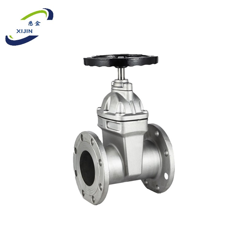 悉金 闸阀 XJ - DN80 个高清大图