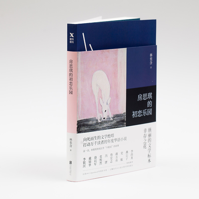 房思琪的初恋乐园 林奕含 著 著 文学 文轩网
