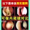 赵氏鼻炎膏特效过敏性克星治鼻甲肥大流鼻涕鼻塞鼻息肉鼻窦炎喷剂 一套治鼻炎(一瓶膏+一瓶液)