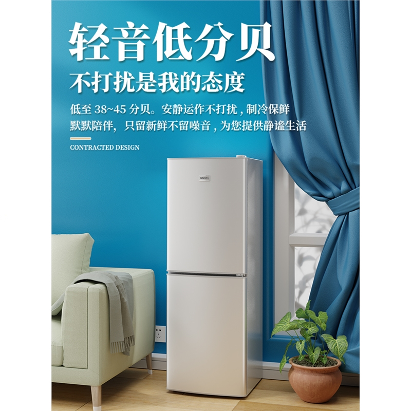 冰箱家用一级能效小型中型切夫曼双开门宿舍出租房电冷藏冷冻_双门①①⑨银三级能效