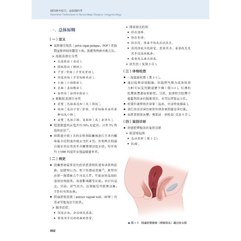 妇科手术技巧 泌尿妇科学 (美)乔纳森·S.贝雷克,(美)克里斯托弗·M.塔内尔 著 乔杰,韩劲松 译 生活 文轩网