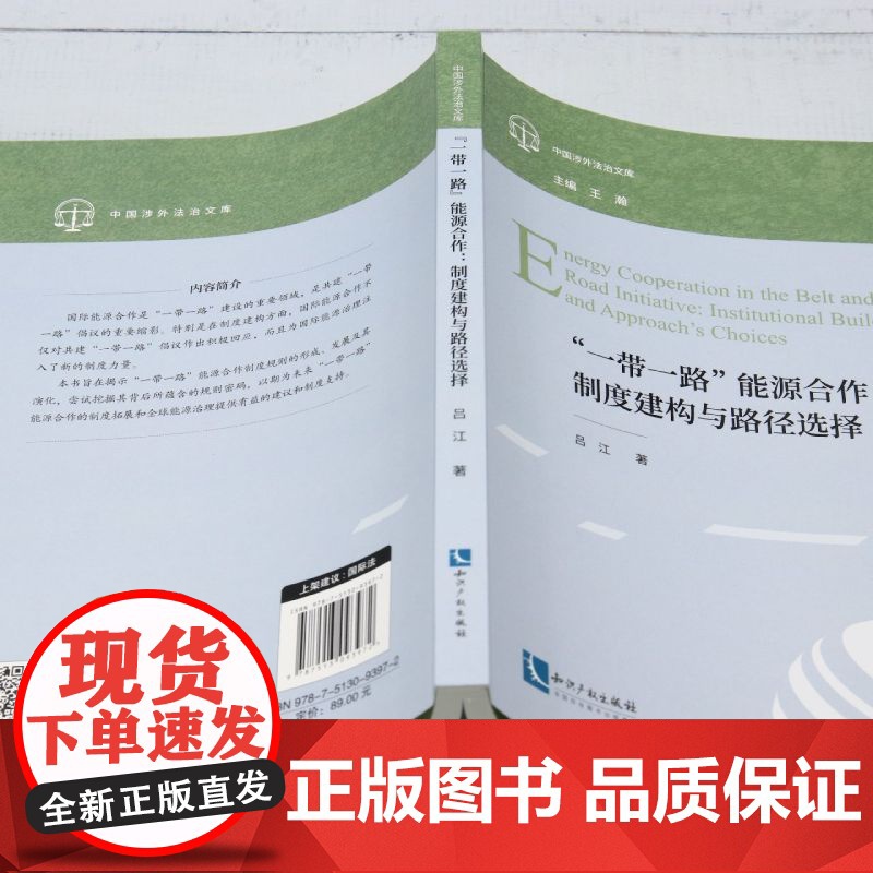 “一带一路”能源合作:制度建构与路径选择高清大图