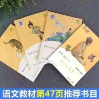 田螺姑娘老人的智慧聪明的牧羊人五年级上快乐读书吧中国民间故事 五年级上册(全4册)人教版