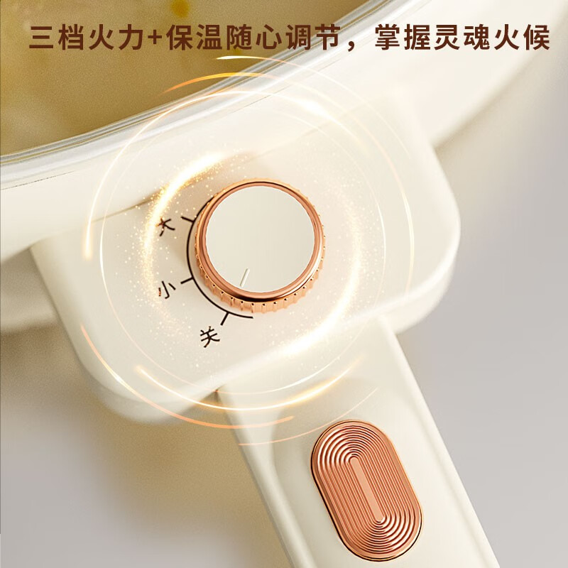 德博莱多功能电炒锅LSD-MGJDZG01高清大图