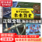 正版 孩子读得懂的未来简史(全景手绘版) 黄晶,张宇 北京理工大学