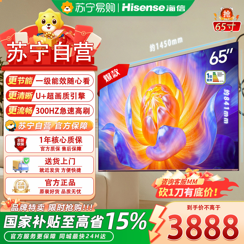 海信电视65E5Q 65英寸 抗反光防眩光墨晶屏 U+Mini LED 300Hz高刷 U+超画质引擎Pro