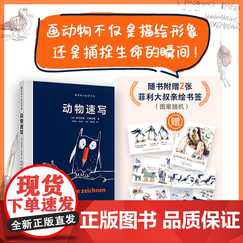 跟菲利大叔学手绘:动物速写 专注分享动物速写创作技巧艺术理念动物速写插画灵感来源 插画自学教学