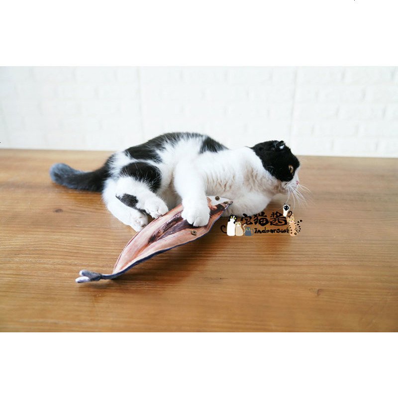 宅猫酱 烤鱼排逗猫玩具可自行添加木天蓼猫薄荷
