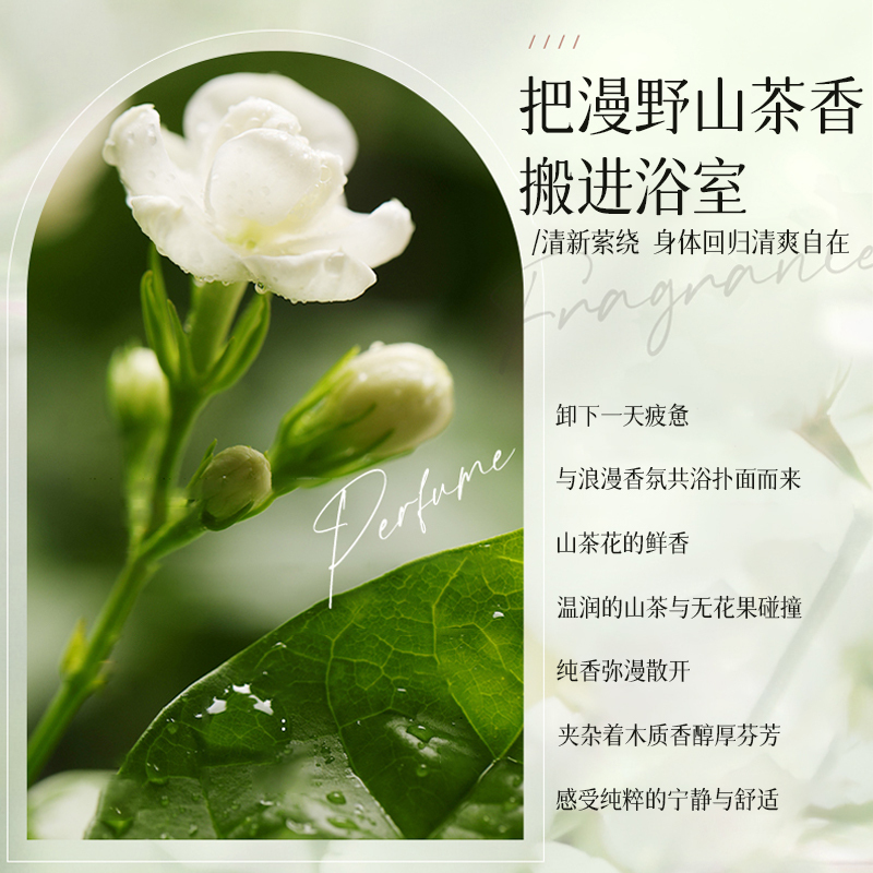 欧丽琦山茶花洗护套装(山茶花沐浴露500ml+山茶花洗发水500ml)深层清洁持久留香清透嫩滑高清大图