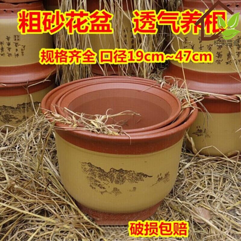 兰花盆盆景花盆特大陶瓷花盆梅花盆 口径31cm花盆
