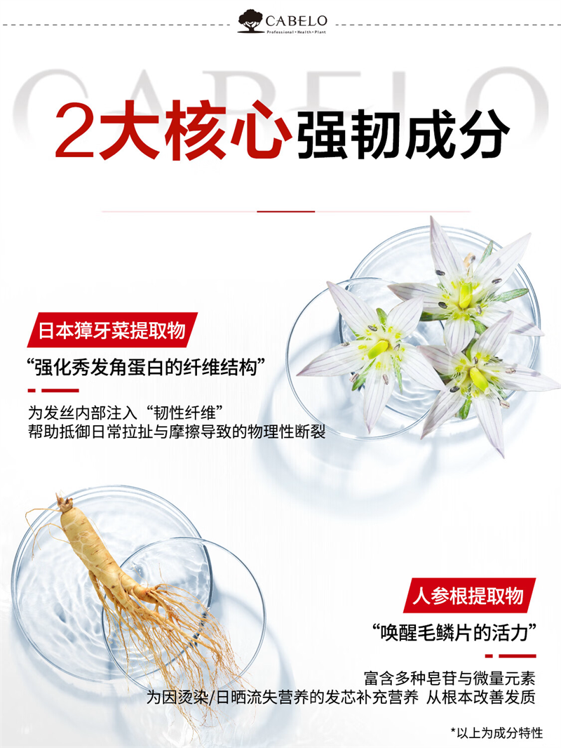 卡蓓诺育发护发素(加强型)350mL高清大图
