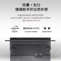 联想拯救者R7000P 15.6英寸高端电竞游戏本赛博朋克吃鸡游戏笔记本电脑(R7-4800H 16G 512G SSD RTX2060 144Hz100%sRGB)