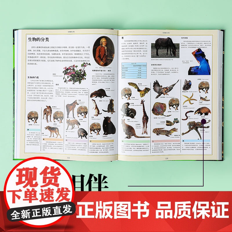 DK系列大套(套装21册) 英国DK公司著 中信出版社图书 DK时间线上的全球史 DK拆解万物大百科 DK无与伦比的地高清大图