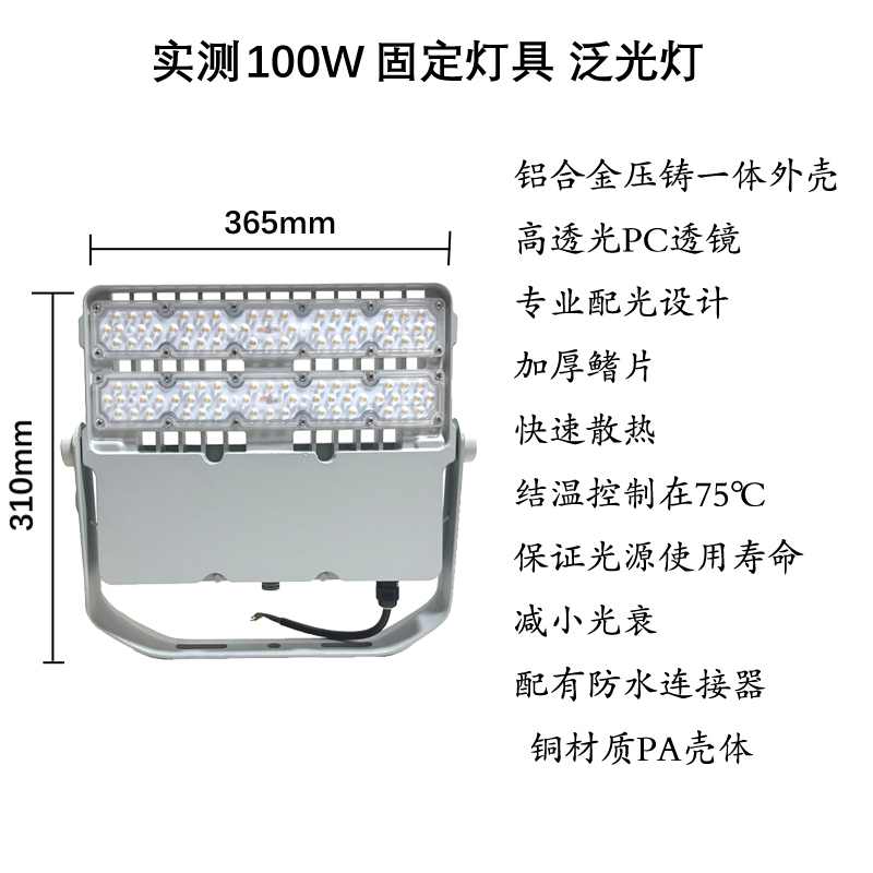 利成照明 固定式LED灯具 100W泛光灯 LC-A01高清大图