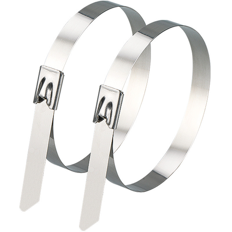 赫德世嘉heardsga304不锈钢金属扎带扣式束线带捆扎带10700mm100根