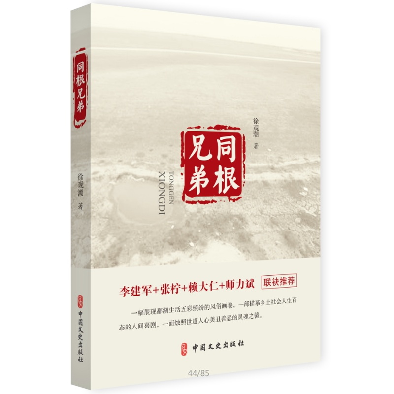 [正版]同根兄弟 徐观潮 著 短篇小说小说集文学书籍中国现当代文学阅世乡土怀旧灵异现当代文学艺术书籍文学作品人性小说人生高清大图