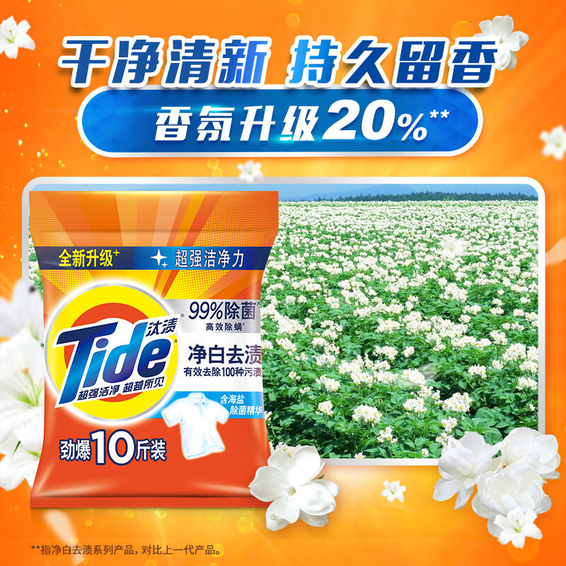 汰渍净白去渍强效去油污除菌香味持久洗衣粉5Kg便携装10斤