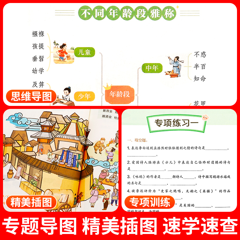 [全2册]文学常识+古诗词 小学通用 [正版]2024新版小学生必背文学常识大全思维导图初中高中必背文学文化常识1-6年
