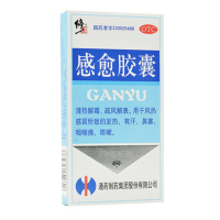 修正 感愈胶囊 10粒 感冒 疏风解表发烧鼻塞咽喉痛咳嗽风热感冒药